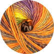 359.33 orange-gelb-violett-grn-braun